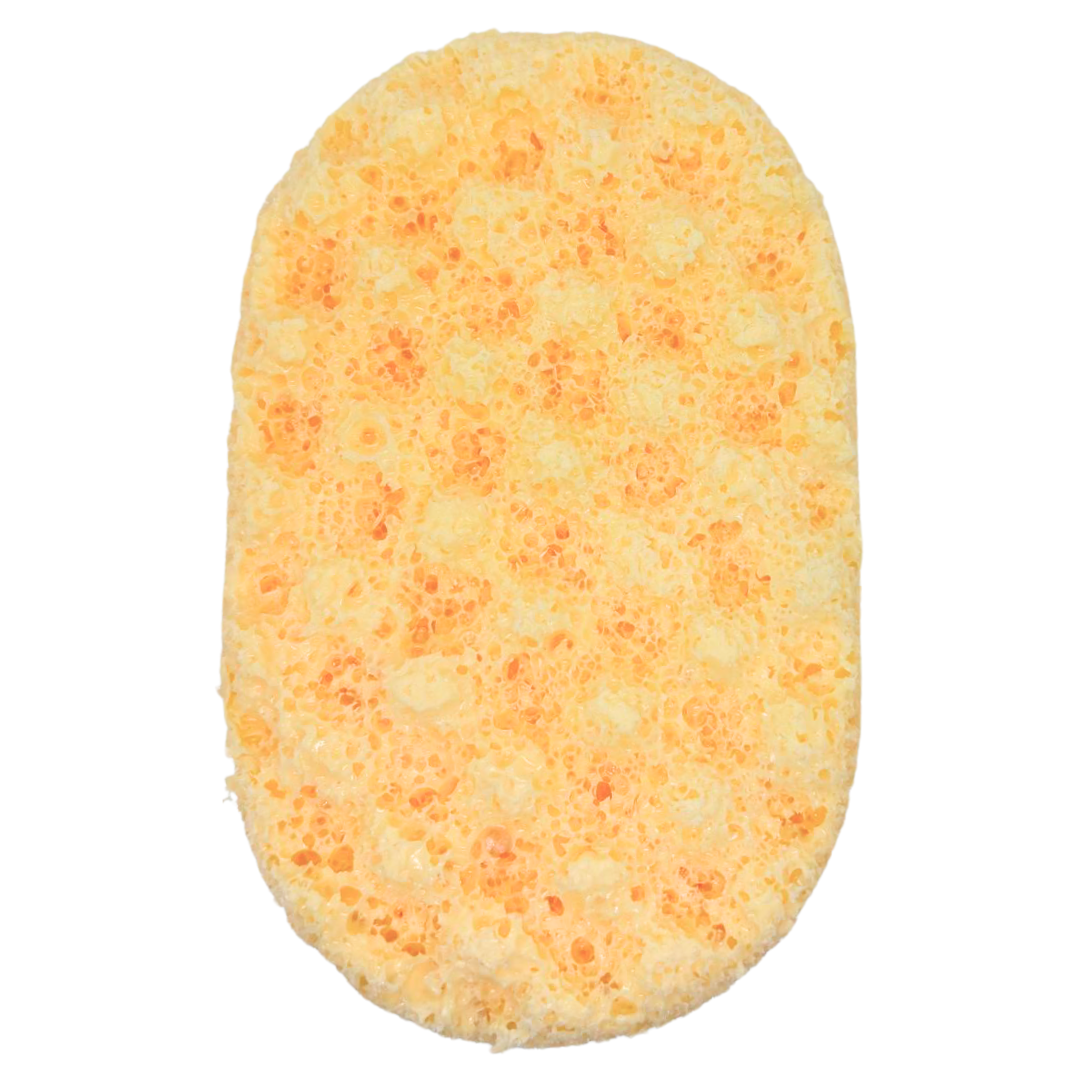 Beachy Bae Exfoliating Soap Sponge