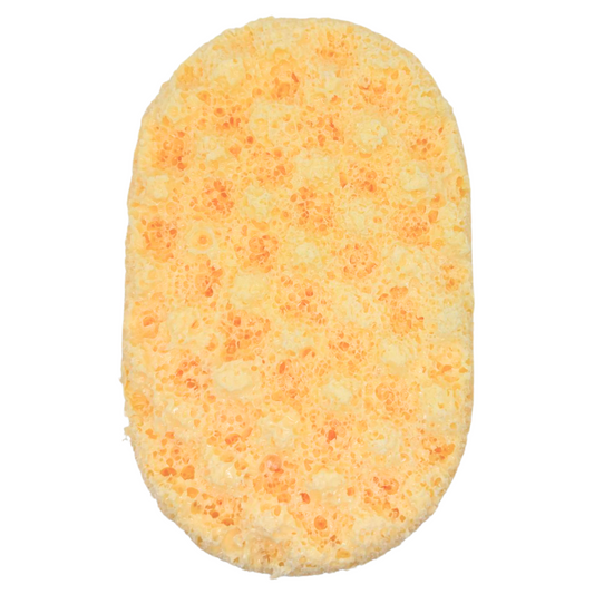 Beachy Bae Exfoliating Soap Sponge