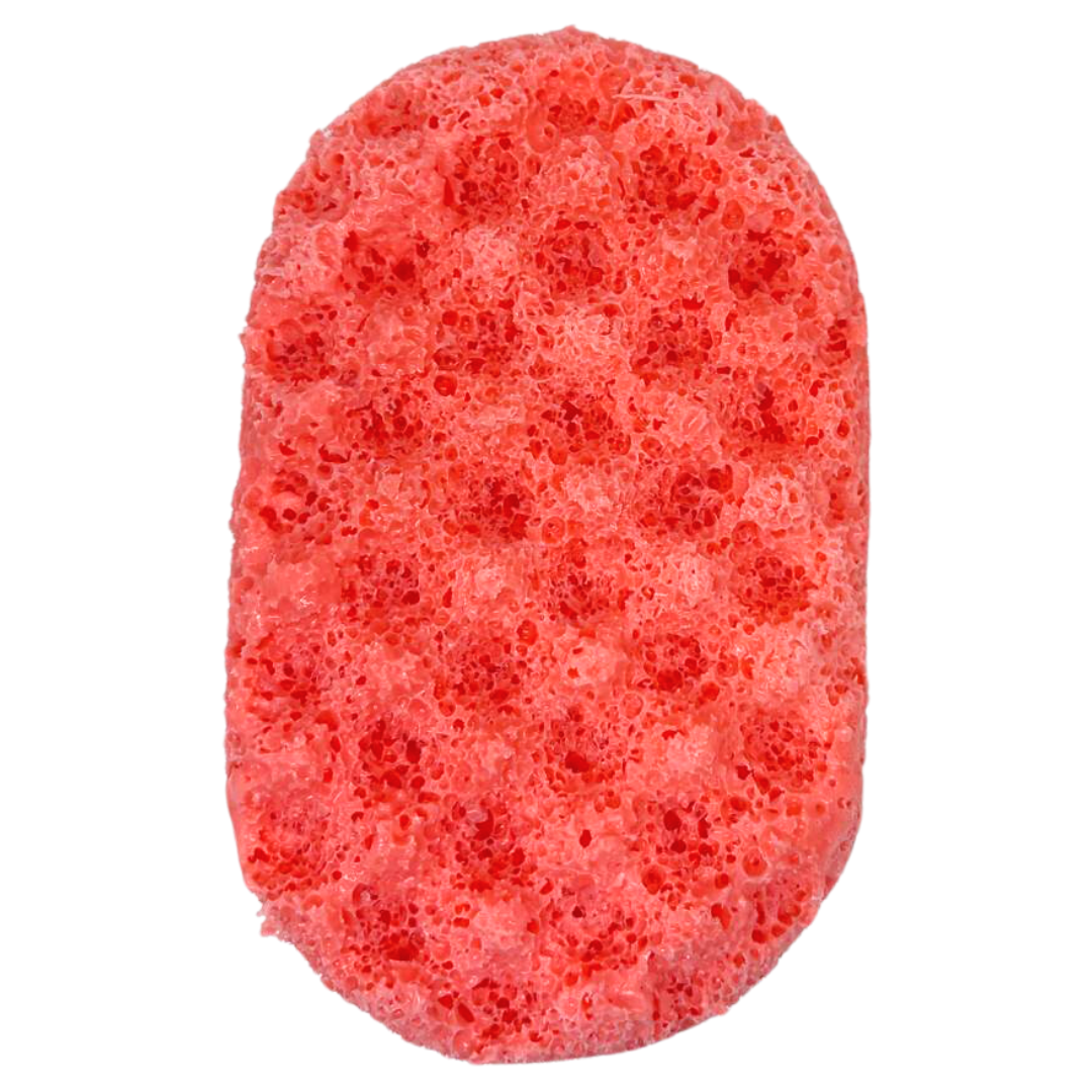 Celsius Exfoliating Soap Sponge