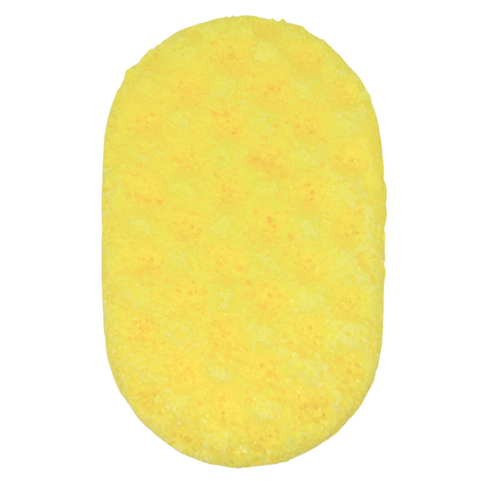 Birthday Cake Bubbly Sponge