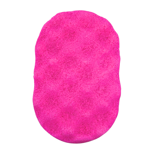 Icy Enchantment Exfoliating Soap Sponge