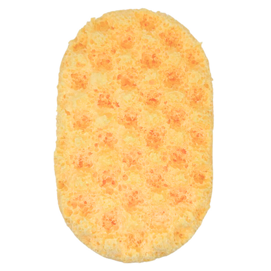 Lympian Bubbly Sponge