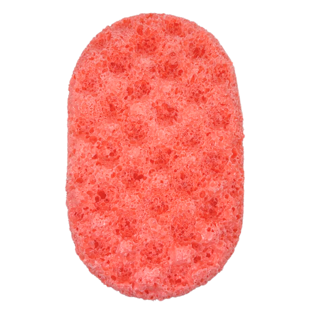 Ruby Exfoliating Soap Sponge