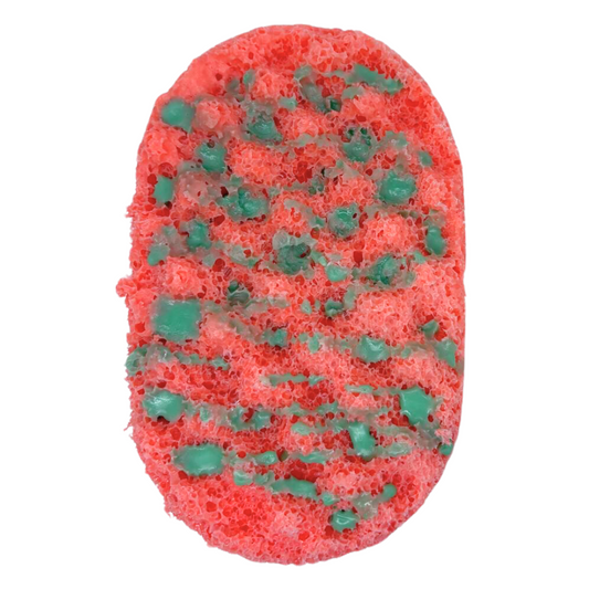 Watermelon Exfoliating Soap Sponge